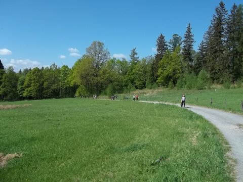 Wycieczka w Rudawy Janowickie s16 - PTTK Strzelin