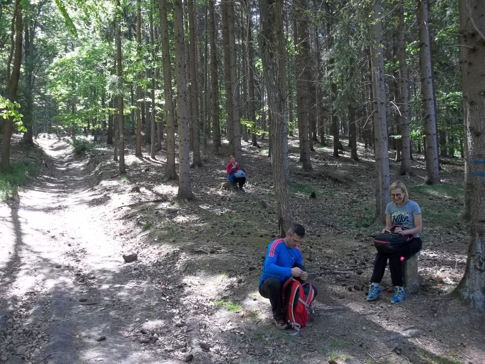 Wycieczka w Rudawy Janowickie s002 - PTTK Strzelin