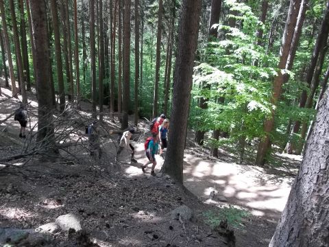 Wycieczka w Rudawy Janowickie s23 - PTTK Strzelin