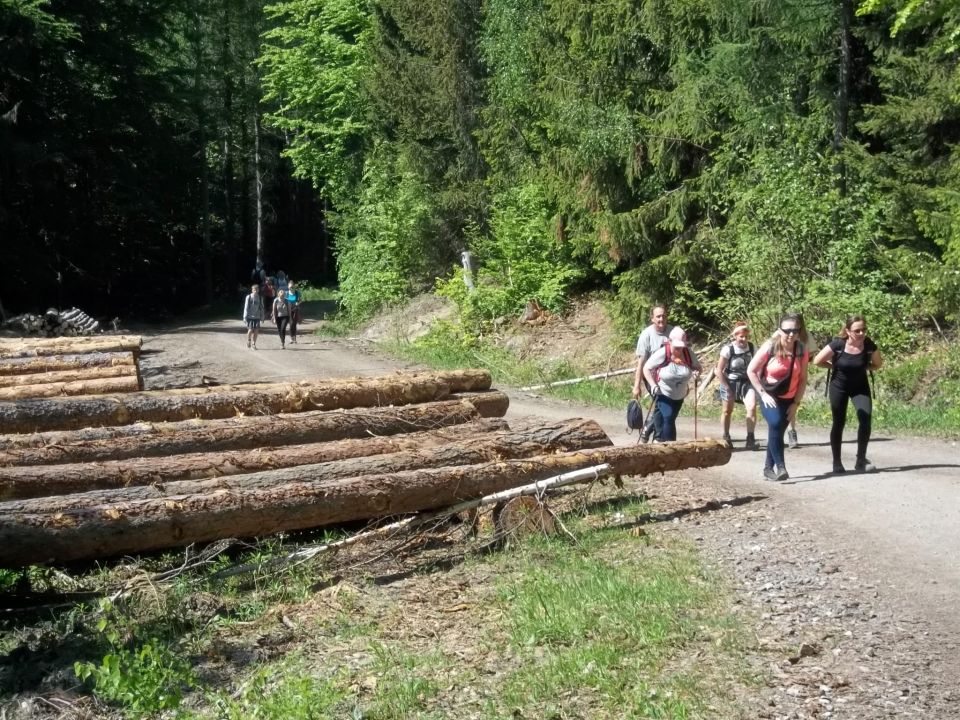 Wycieczka w Rudawy Janowickie s002 - PTTK Strzelin