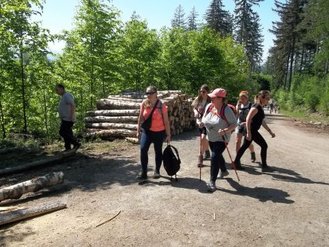 Wycieczka w Rudawy Janowickie s112 - PTTK Strzelin