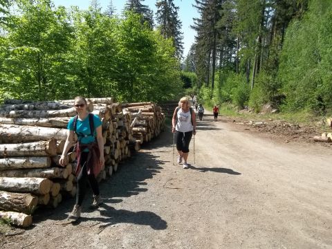 Wycieczka w Rudawy Janowickie s114 - PTTK Strzelin