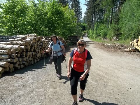 Wycieczka w Rudawy Janowickie s115 - PTTK Strzelin