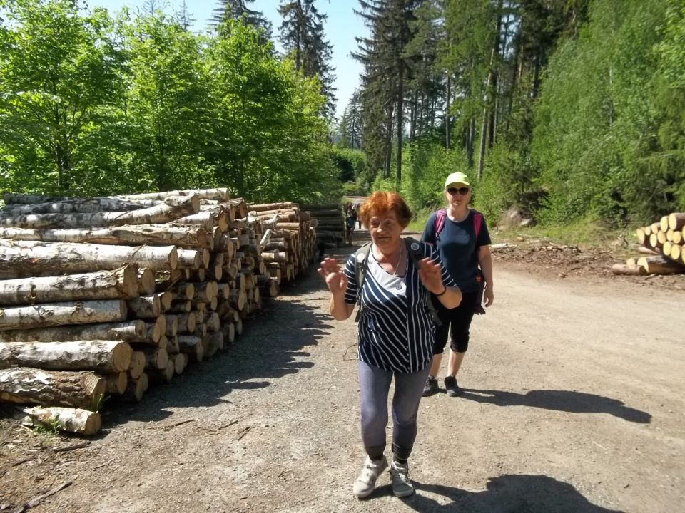 Wycieczka w Rudawy Janowickie s002 - PTTK Strzelin