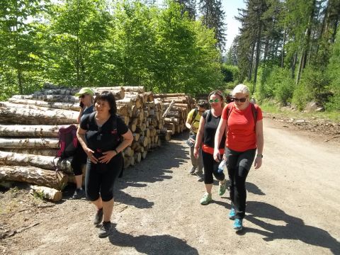 Wycieczka w Rudawy Janowickie s117 - PTTK Strzelin