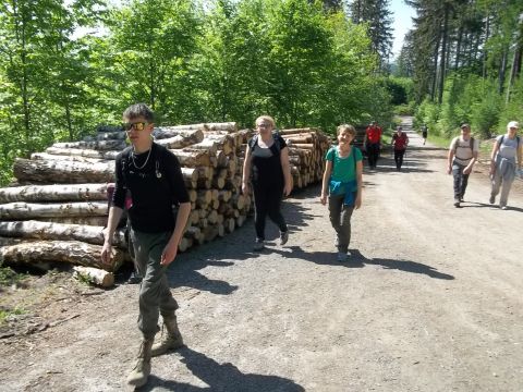 Wycieczka w Rudawy Janowickie s118 - PTTK Strzelin