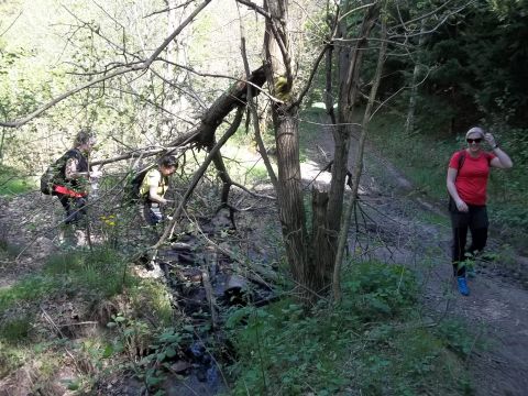 Wycieczka w Rudawy Janowickie s125 - PTTK Strzelin