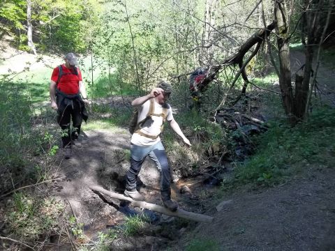 Wycieczka w Rudawy Janowickie s127 - PTTK Strzelin