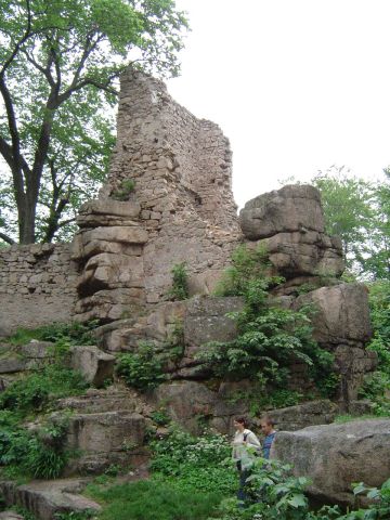 Zamek Bolcz�w w Rudawach Janowickich s016 - PTTK Strzelin