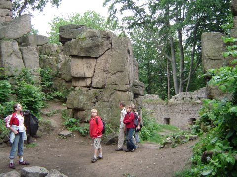 Zamek Bolcz�w w Rudawach Janowickich s019 - PTTK Strzelin