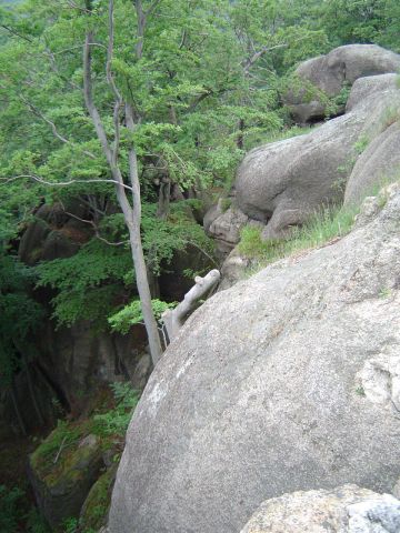 Zamek Bolcz�w w Rudawach Janowickich s039 - PTTK Strzelin