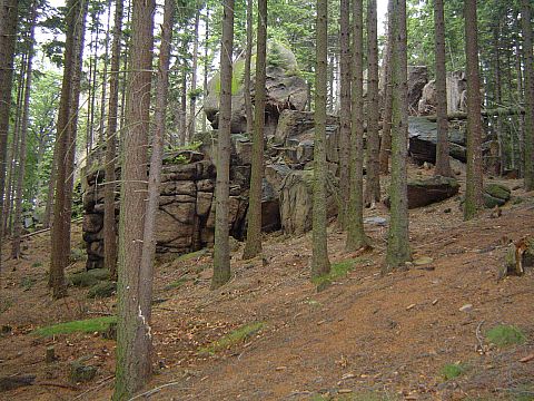 Rudawy Janowickie - ko�o zamku 'Bolcz�w'