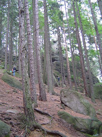 Rudawy Janowickie - podej�cie na Sokolik