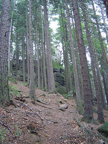 Rudawy Janowickie - podej�cie na Sokolik