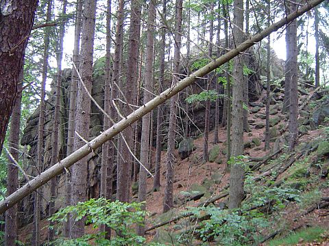 Rudawy Janowickie - podej�cie na Sokolik