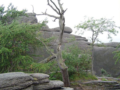 Rudawy Janowickie - Staro�ci�skie Ska�y