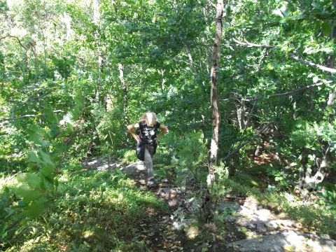 Wycieczka Rychlebské hory s23 - PTTK Strzelin