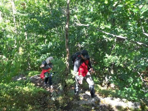 Wycieczka Rychlebské hory s25 - PTTK Strzelin