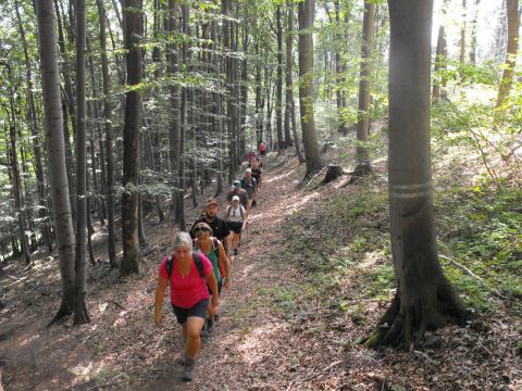 Wycieczka Rychlebské hory s17 - PTTK Strzelin