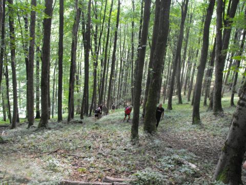 Wycieczka Rychlebské hory s18 - PTTK Strzelin