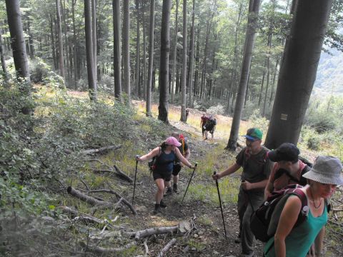 Wycieczka Rychlebské hory s23 - PTTK Strzelin