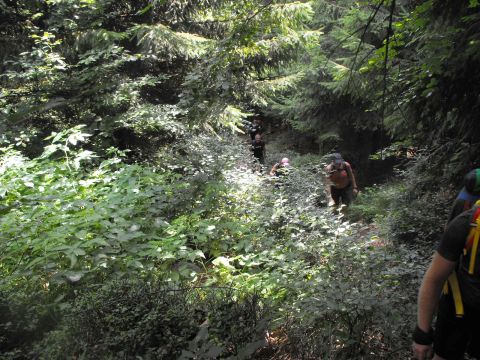 Wycieczka Rychlebské hory s25 - PTTK Strzelin