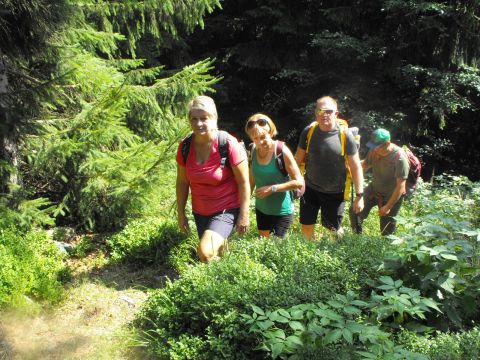 Wycieczka Rychlebské hory s26 - PTTK Strzelin