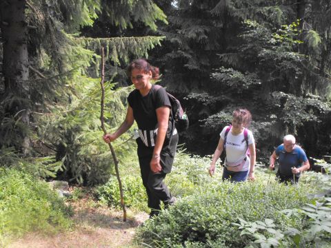 Wycieczka Rychlebské hory s37 - PTTK Strzelin