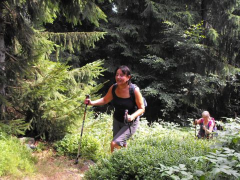 Wycieczka Rychlebské hory s42 - PTTK Strzelin