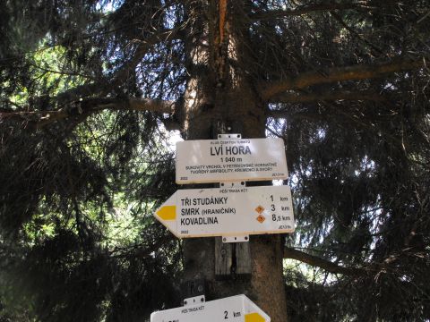 Wycieczka Rychlebské hory s44 - PTTK Strzelin