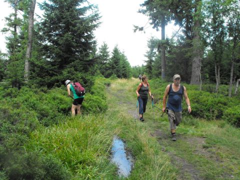 Wycieczka Rychlebské hory s58 - PTTK Strzelin