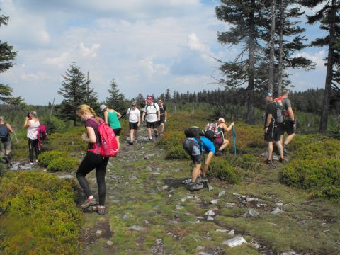 Wycieczka Rychlebské hory s63 - PTTK Strzelin