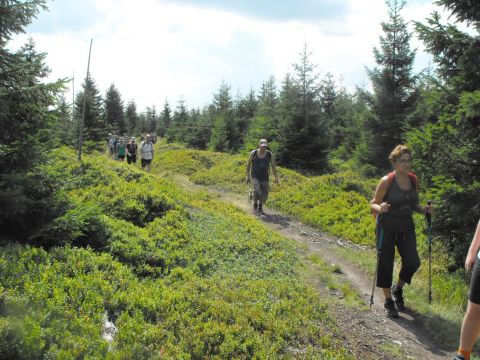 Wycieczka Rychlebské hory s74 - PTTK Strzelin