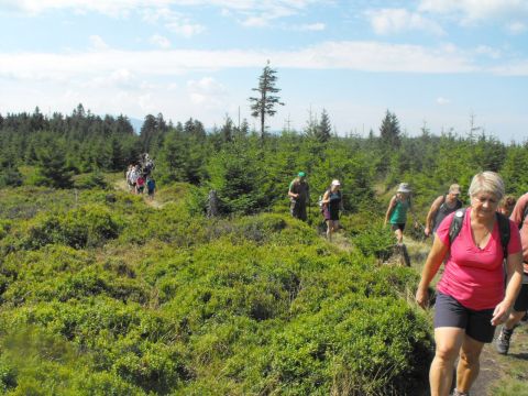 Wycieczka Rychlebské hory s79 - PTTK Strzelin