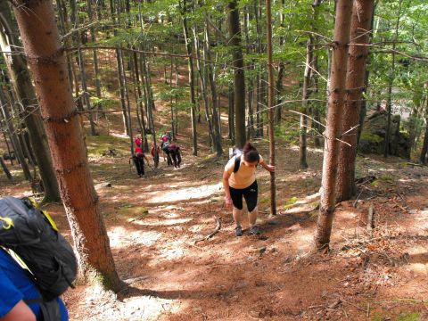 Wycieczka Rychlebské hory s12 - PTTK Strzelin