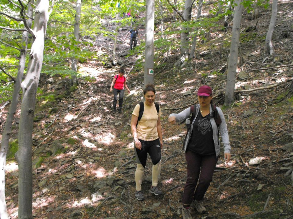 Wycieczka Rychlebské hory s004 - PTTK Strzelin