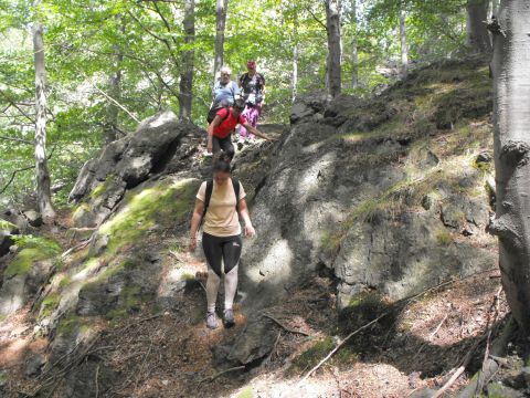 Wycieczka Rychlebské hory s27 - PTTK Strzelin