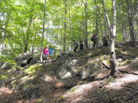 Wycieczka Rychlebské hory s28 - PTTK Strzelin