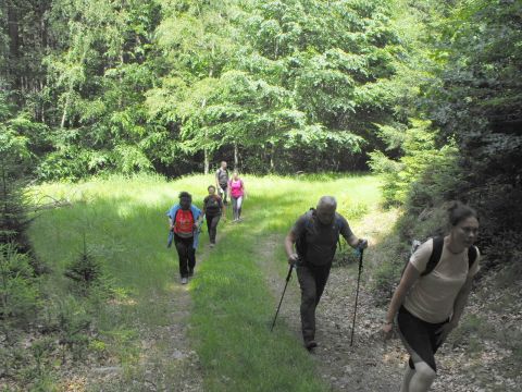 Wycieczka Rychlebské hory s32 - PTTK Strzelin