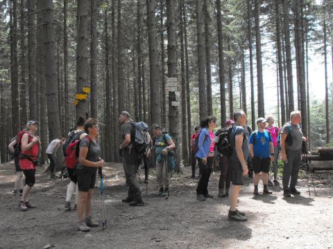 Wycieczka Rychlebské hory s33 - PTTK Strzelin