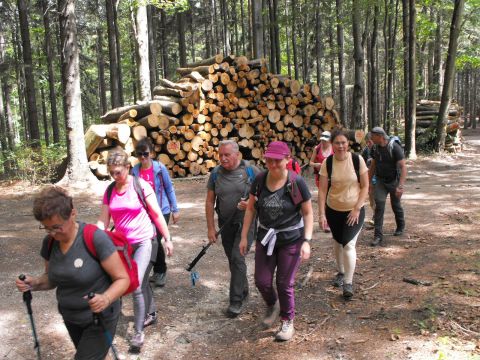 Wycieczka Rychlebské hory s34 - PTTK Strzelin