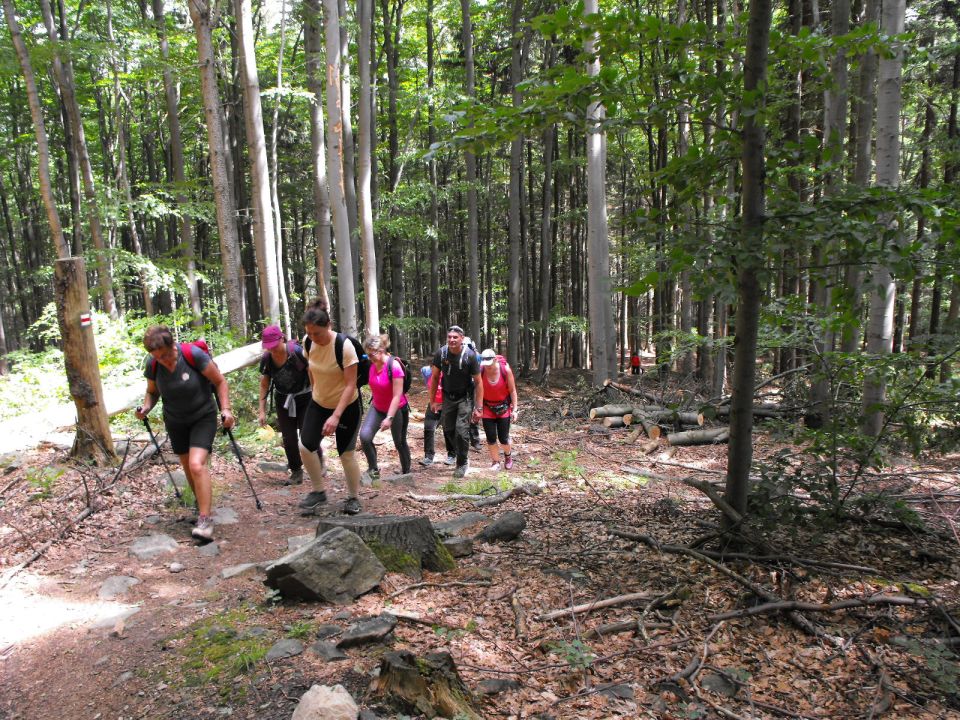 Wycieczka Rychlebské hory s004 - PTTK Strzelin