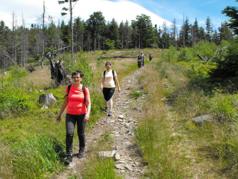Wycieczka Rychlebské hory s56 - PTTK Strzelin