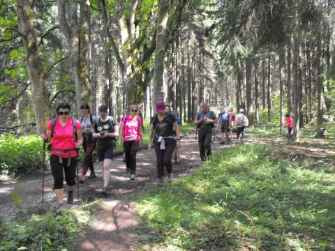 Wycieczka Rychlebské hory s60 - PTTK Strzelin