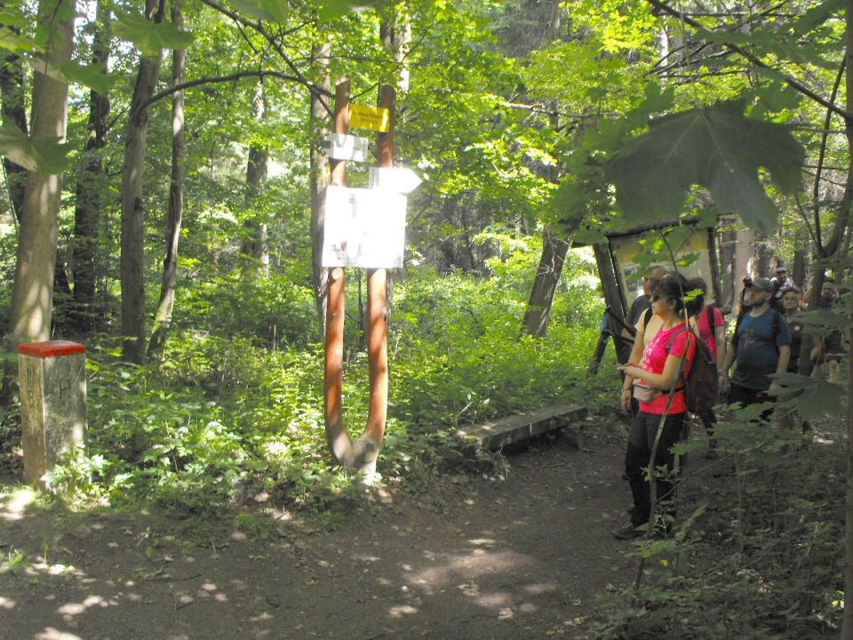 Wycieczka Rychlebské hory s004 - PTTK Strzelin