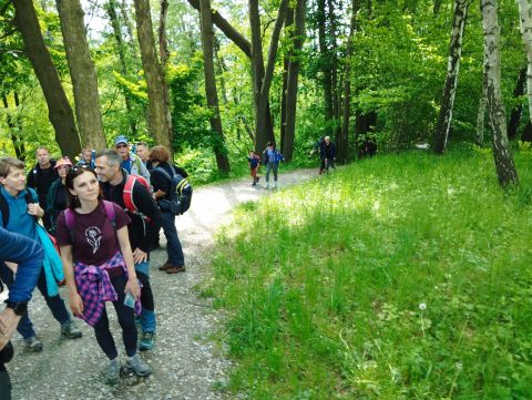 Wycieczka Rychlebské hory s18 - PTTK Strzelin