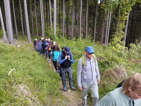 Wycieczka Rychlebské hory s51 - PTTK Strzelin