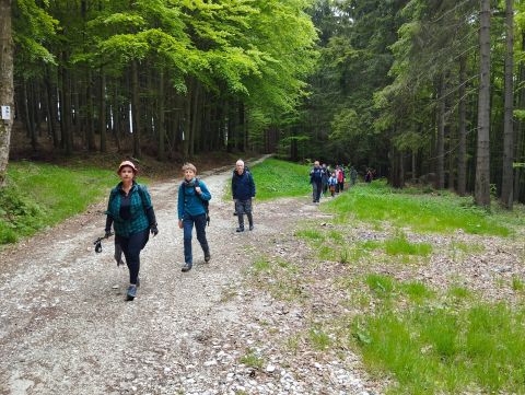 Wycieczka Rychlebské hory s58 - PTTK Strzelin