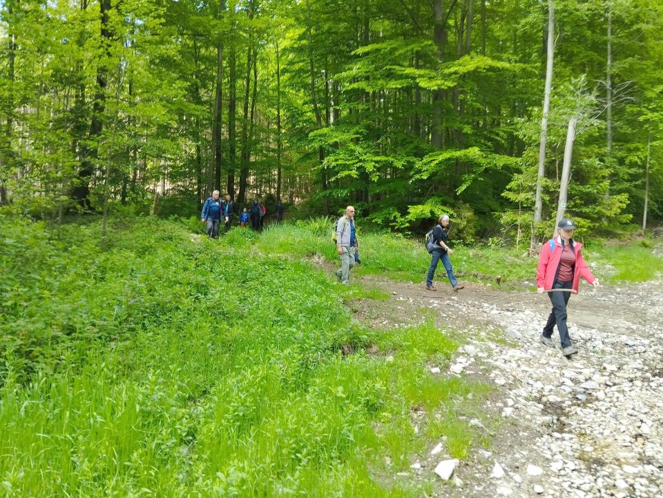 Wycieczka Rychlebské hory s004 - PTTK Strzelin