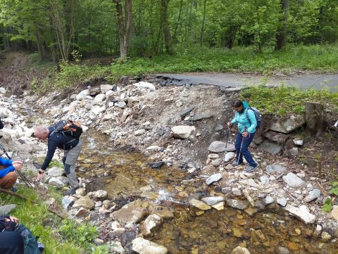 Wycieczka Rychlebské hory s118 - PTTK Strzelin